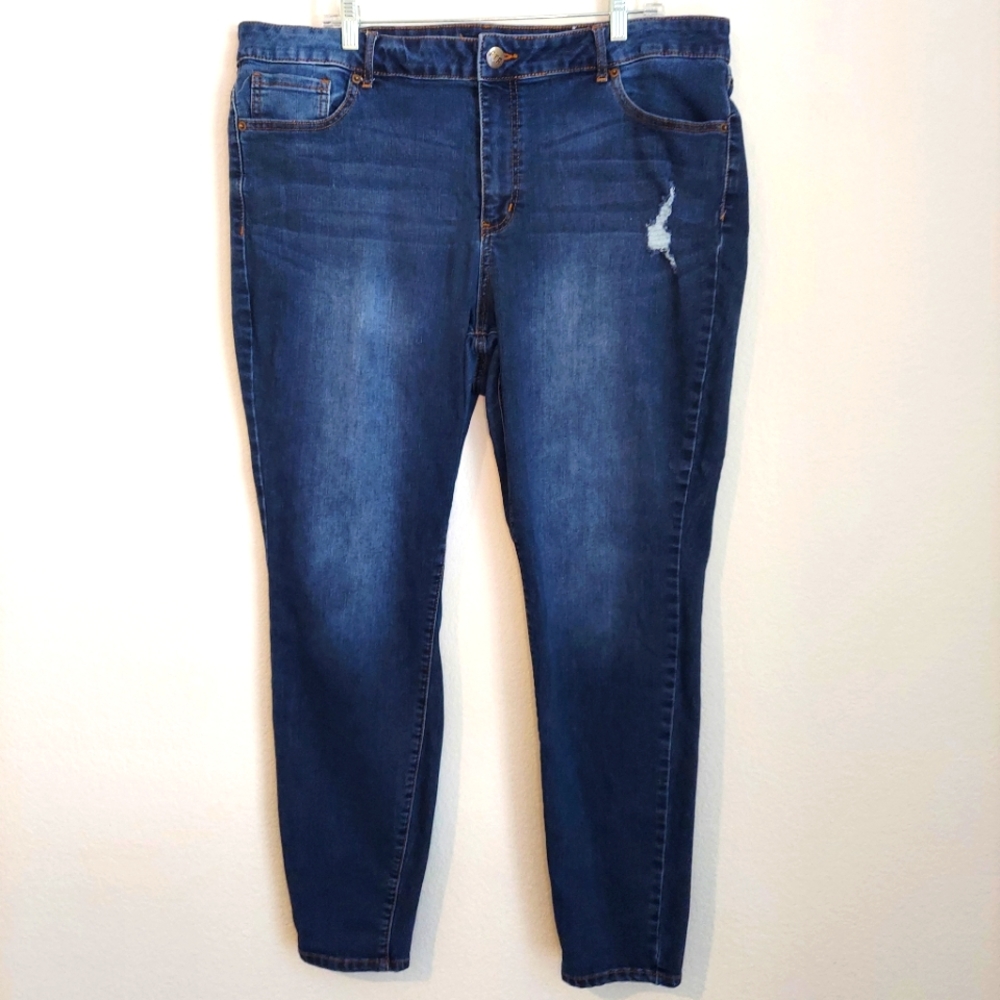 Classic Blue Skinny Jeans for Women